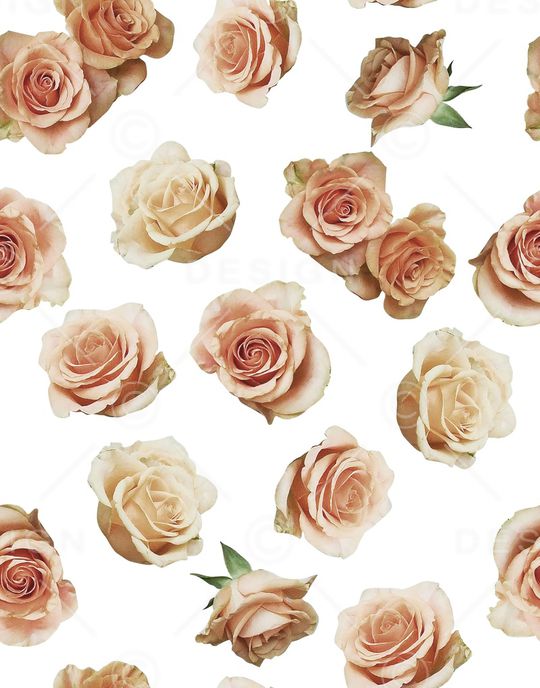 丝巾女装家纺印花华亿平台图片