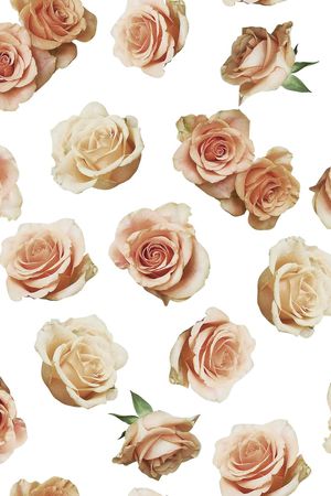 丝巾女装家纺印花华亿平台图片