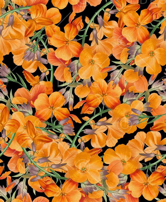 丝巾女装家纺印花华亿平台图片