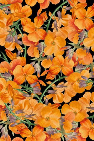 丝巾女装家纺印花华亿平台图片