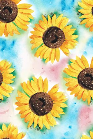 丝巾女装家纺印花华亿平台图片