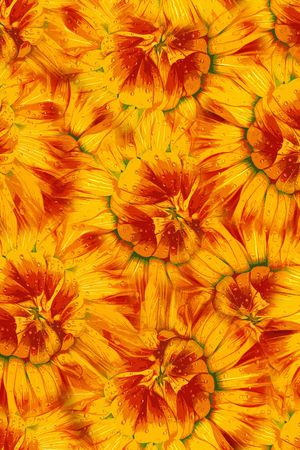 丝巾女装家纺印花华亿平台图片