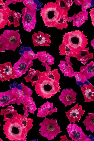 丝巾女装家纺印花华亿平台图片