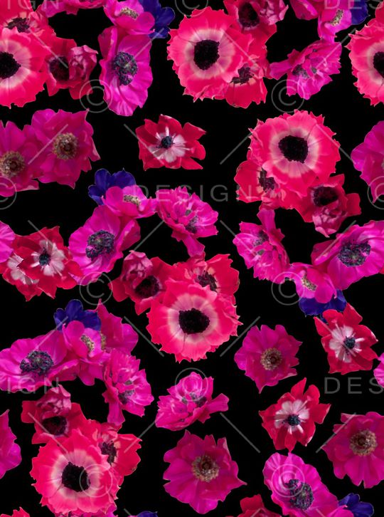 丝巾女装家纺印花华亿平台图片