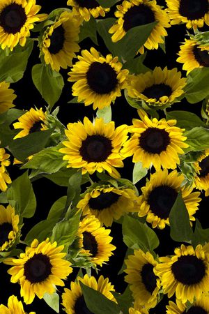 丝巾女装家纺印花华亿平台图片