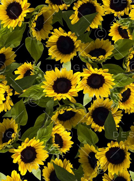 丝巾女装家纺印花华亿平台图片