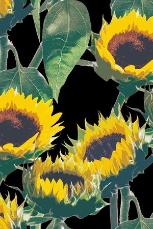 丝巾女装家纺印花华亿平台图片