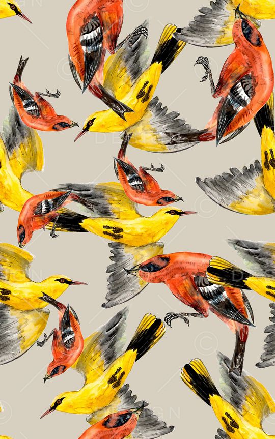 鹦鹉印花华亿平台图片