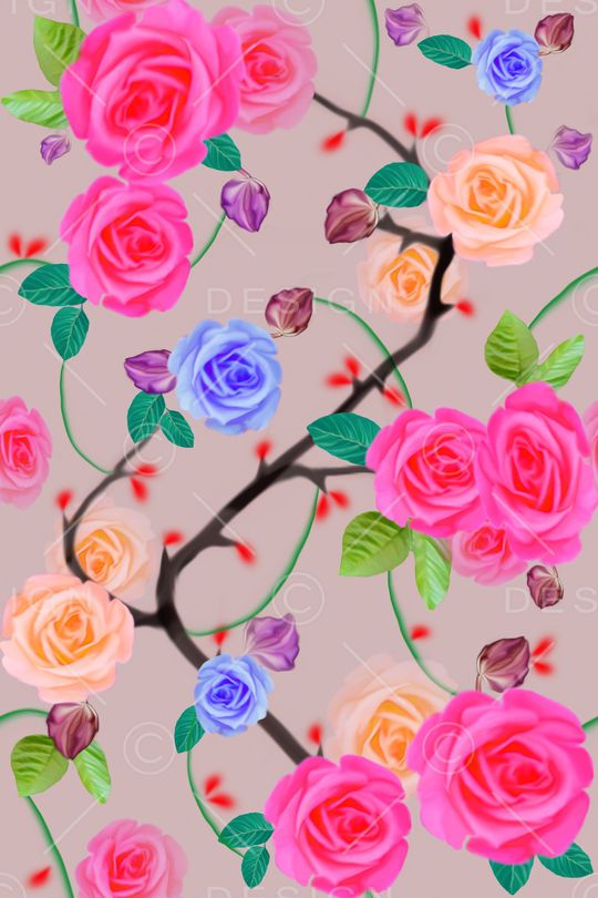 月季花女装T恤卫衣红色黄色印花华亿平台图片