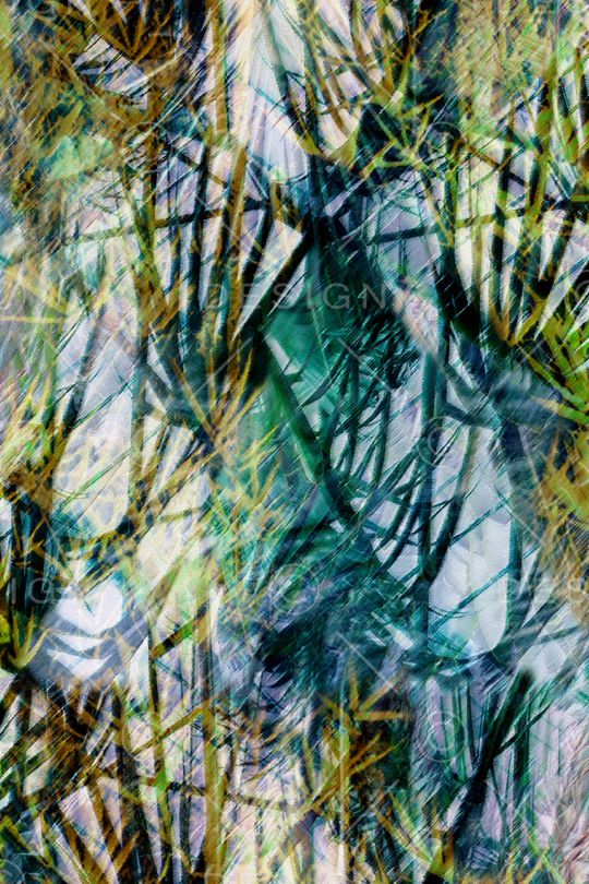 竹叶印花华亿平台图片