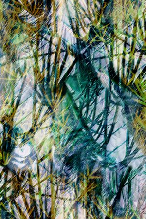 竹叶印花华亿平台图片