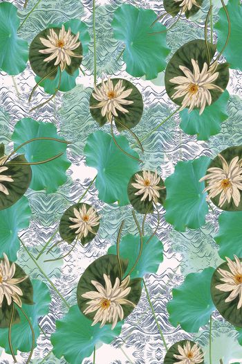 荷花印花华亿平台图片