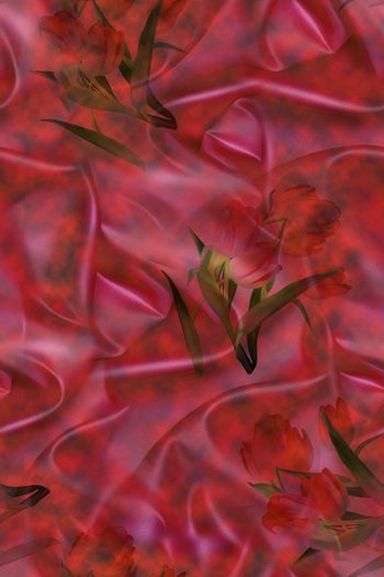 769187-绸缎花景02