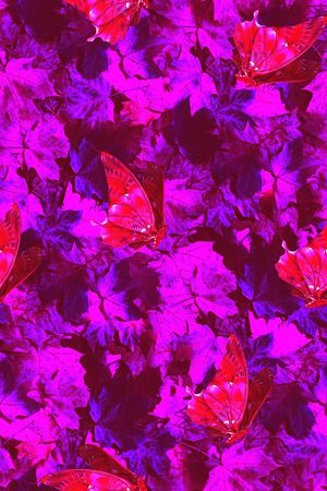 蝴蝶印花华亿平台图片