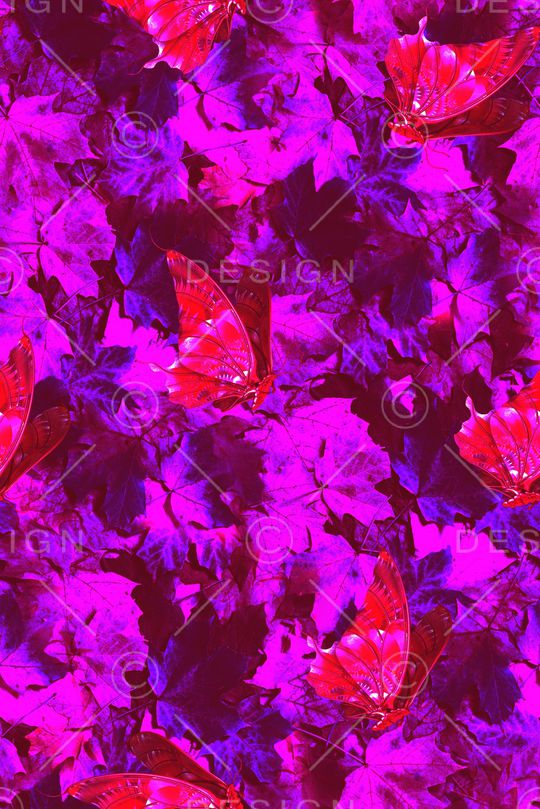 蝴蝶印花华亿平台图片