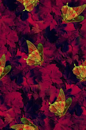 蝴蝶印花华亿平台图片