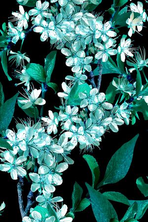 抽象花卉印花华亿平台图片