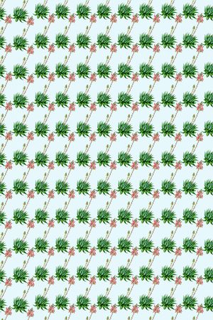 清新印花华亿平台图片