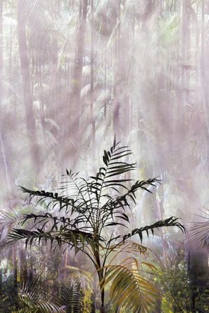 森林印花华亿平台图片