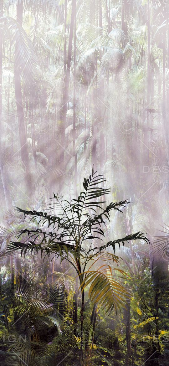 森林印花华亿平台图片