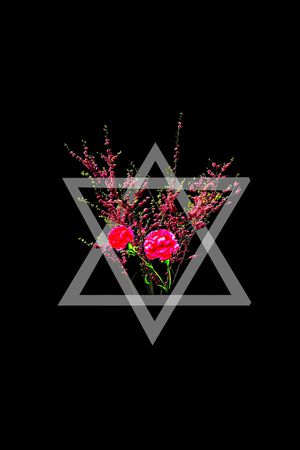 桃花印花华亿平台图片