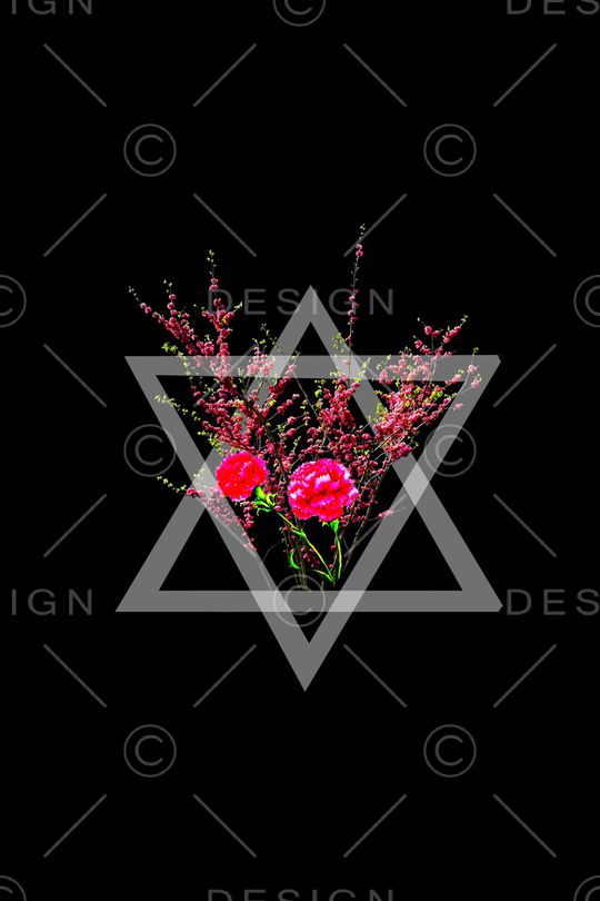 桃花印花华亿平台图片