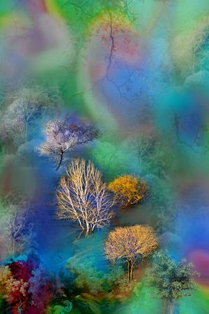 风景印花华亿平台图片