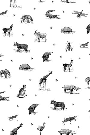 单色印花华亿平台图片