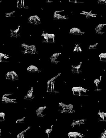 769672-838817010410b