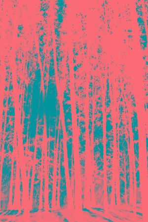 竖条印花华亿平台图片