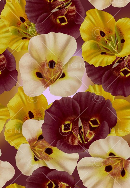 丝巾女装家纺印花华亿平台图片