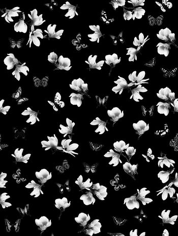 770181-838817010416b