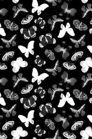 女装印花华亿平台图片