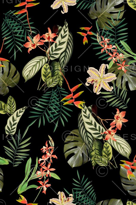 棕榈叶印花华亿平台图片