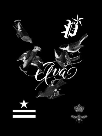 770406-838817010507b