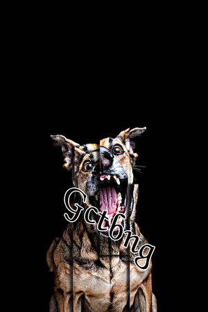 抽象手绘几何切割动物狗狗数码印花印花华亿平台图片