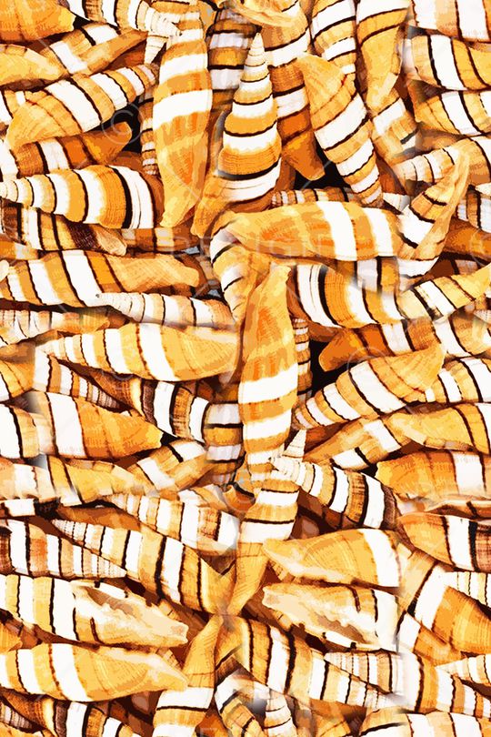 海滩印花华亿平台图片