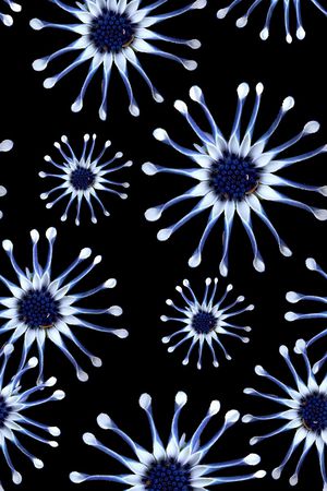 小碎花印花华亿平台图片