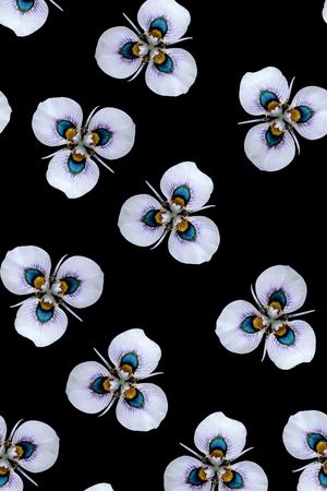 小碎花印花华亿平台图片