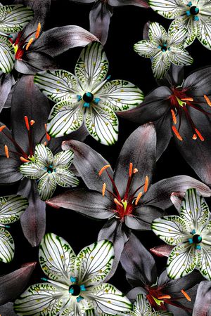 抽象直条印花华亿平台图片