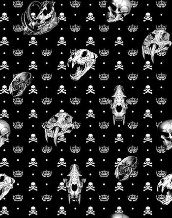 771580-838817010703c