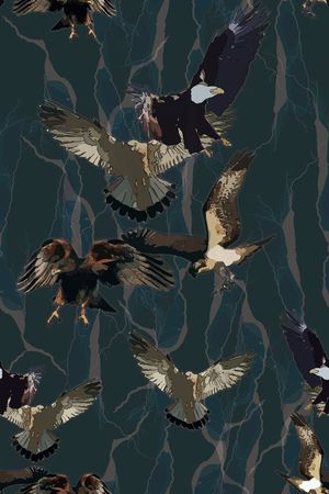 雄鹰印花华亿平台图片