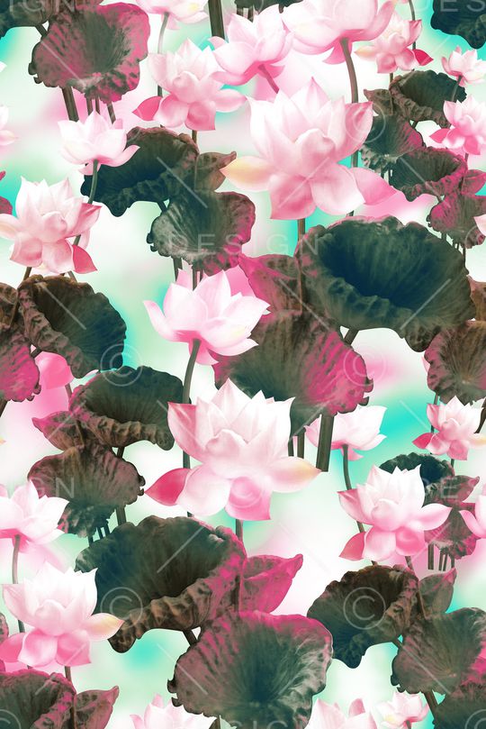 荷花印花华亿平台图片