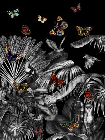 772224-838817010806a