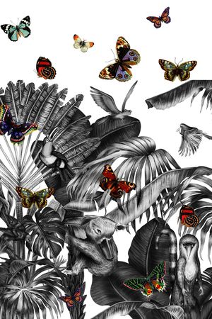 植物印花华亿平台图片