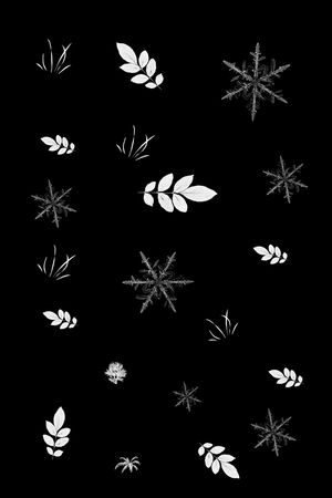 雪花印花华亿平台图片