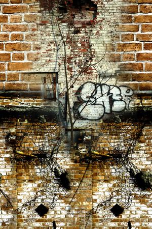 休闲印花华亿平台图片