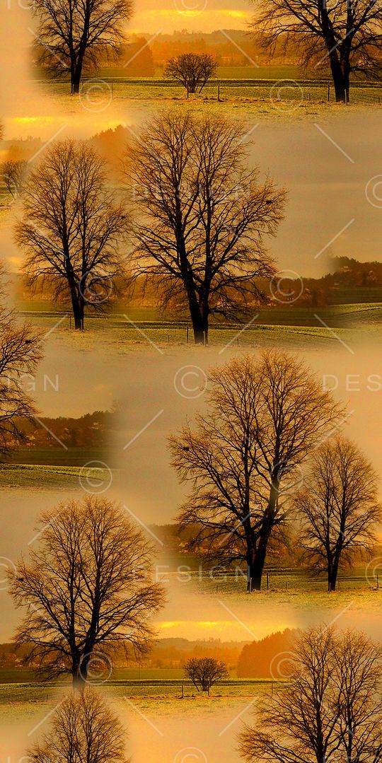 田野印花华亿平台图片