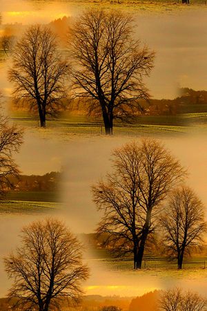田野印花华亿平台图片