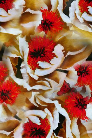 散花印花华亿平台图片